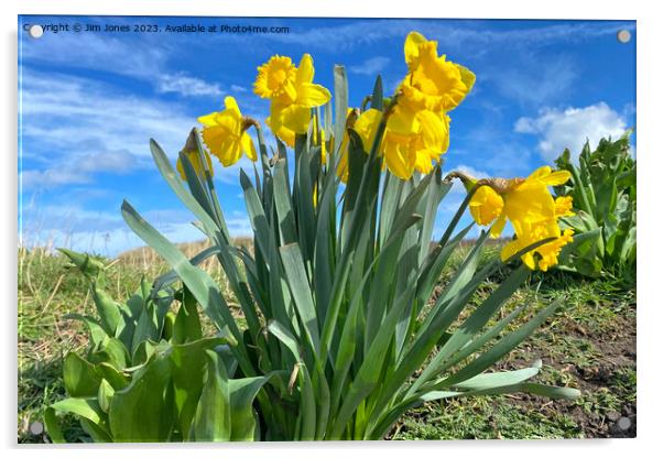 Spring at last! Acrylic by Jim Jones