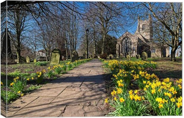 Churchyard Spring Daffodils Canvas Print by Martyn Arnold