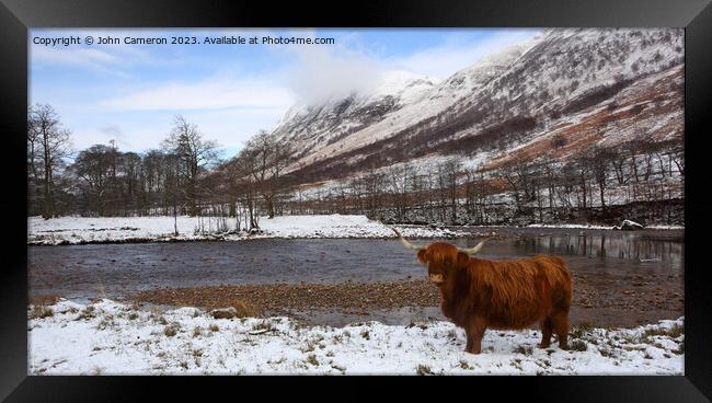 Highland Cow in Glen Nevis. Framed Print by John Cameron