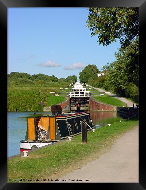 Canal at Caen Hill Locks Framed Print by Terri Waters