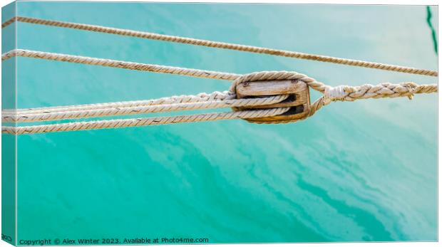 A rope in water. The Anchored Ropes Serenity Canvas Print by Alex Winter