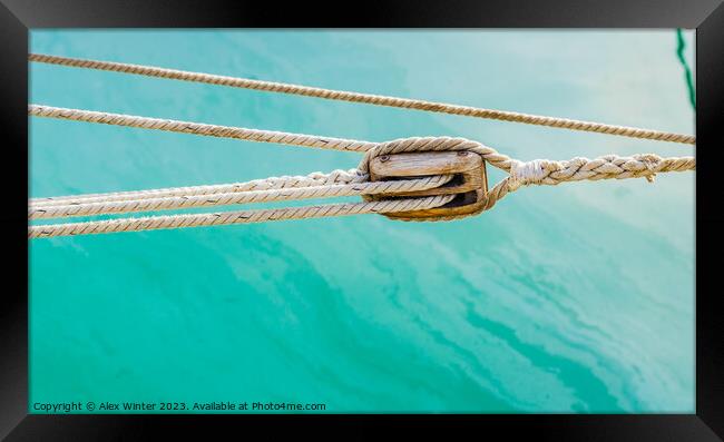 A rope in water. The Anchored Ropes Serenity Framed Print by Alex Winter