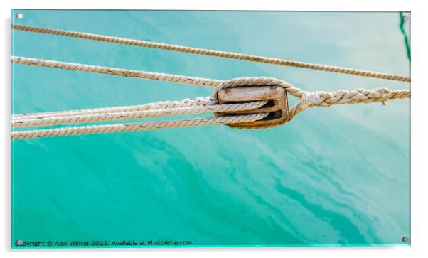 A rope in water. The Anchored Ropes Serenity Acrylic by Alex Winter