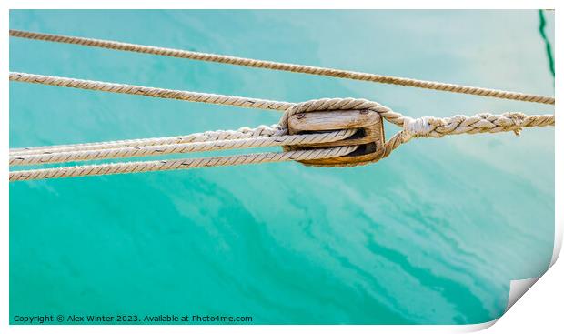 A rope in water. The Anchored Ropes Serenity Print by Alex Winter