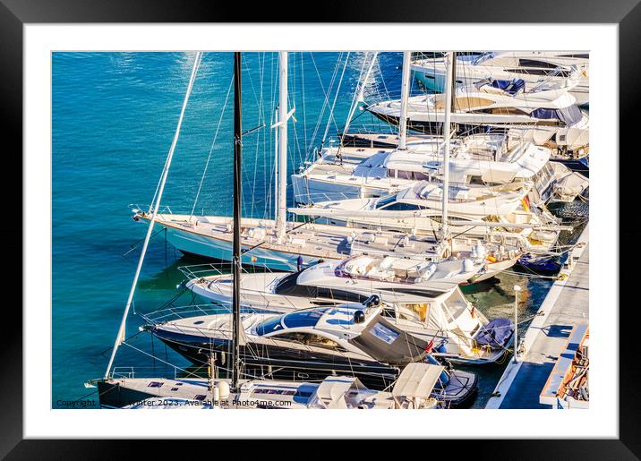 Luxury yachts boats anchored at marina Framed Mounted Print by Alex Winter