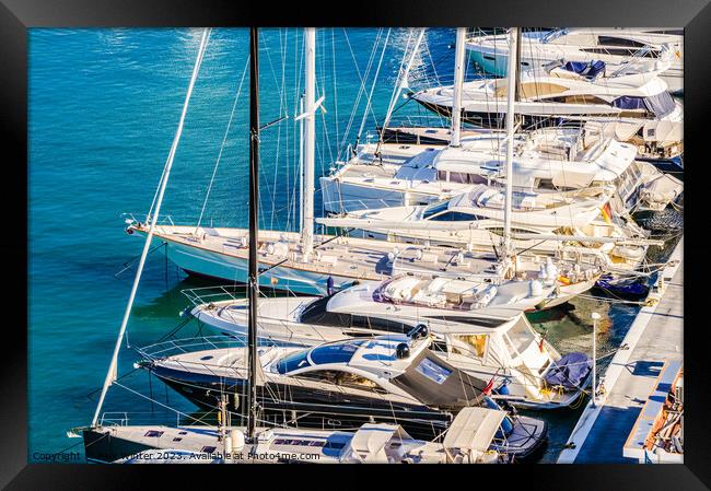 Luxury yachts boats anchored at marina Framed Print by Alex Winter