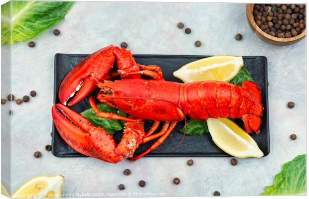 Whole red lobster with fresh herbs Canvas Print by Mykola Lunov Mykola