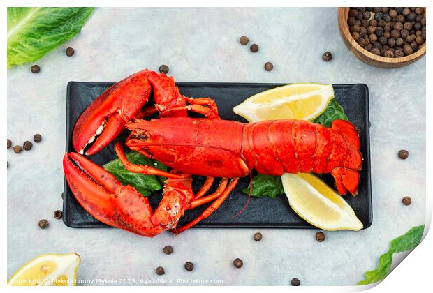 Whole red lobster with fresh herbs Print by Mykola Lunov Mykola