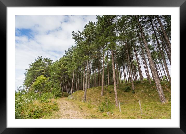 Open gate to part of Formby woods Framed Mounted Print by Jason Wells