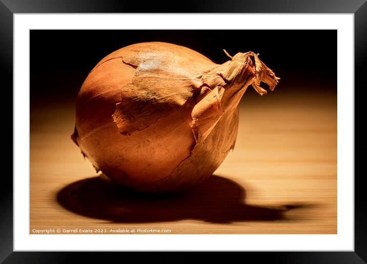 Onion Framed Mounted Print by Darrell Evans