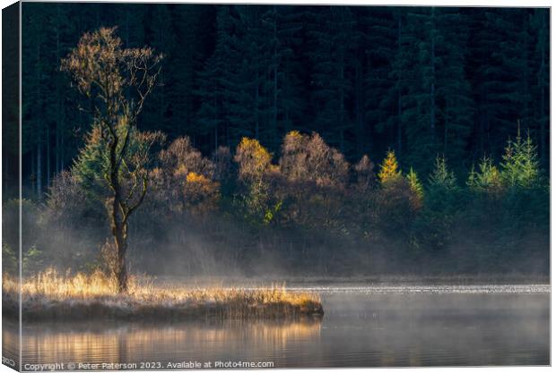 Sunlit trees on Loch Chon in the Trossachs Canvas Print by Peter Paterson