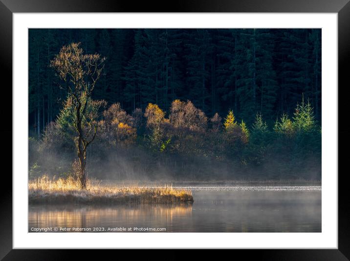 Sunlit trees on Loch Chon in the Trossachs Framed Mounted Print by Peter Paterson