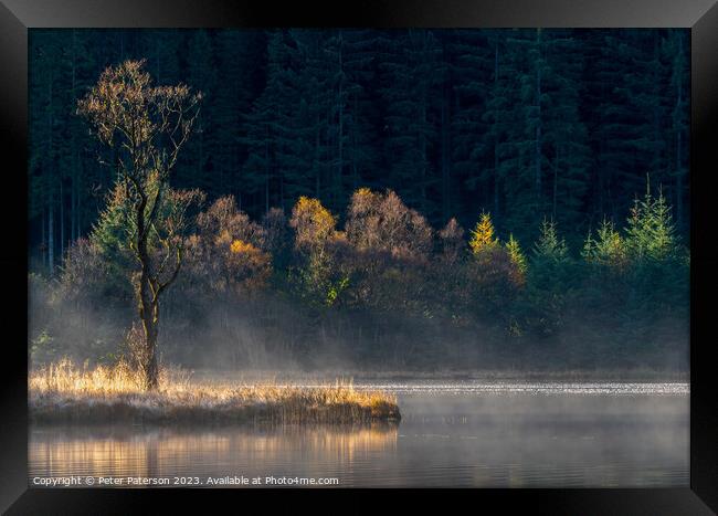 Sunlit trees on Loch Chon in the Trossachs Framed Print by Peter Paterson