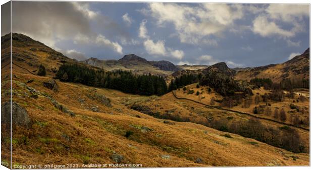 Blea Tarn view Canvas Print by phil pace