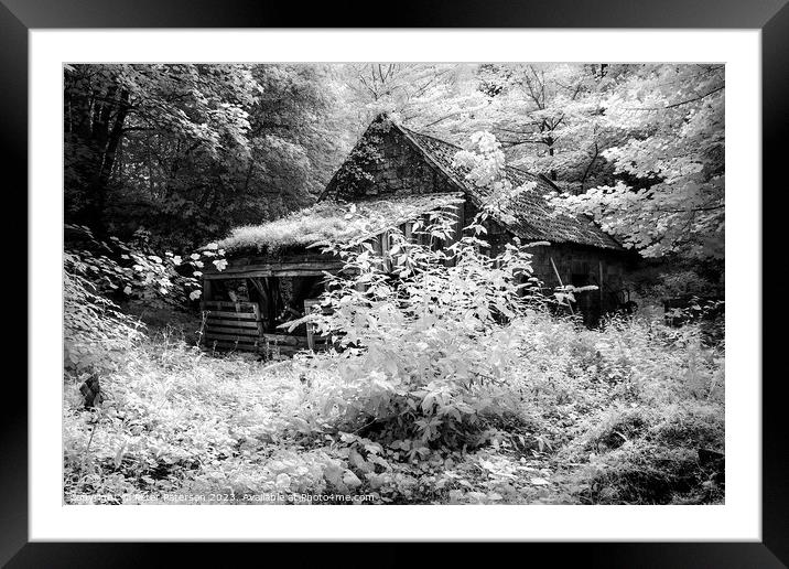 Old woodshed in Forest Framed Mounted Print by Peter Paterson