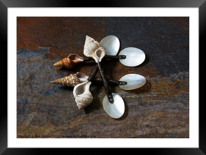 Shell Spoons Framed Mounted Print by Jean Gilmour