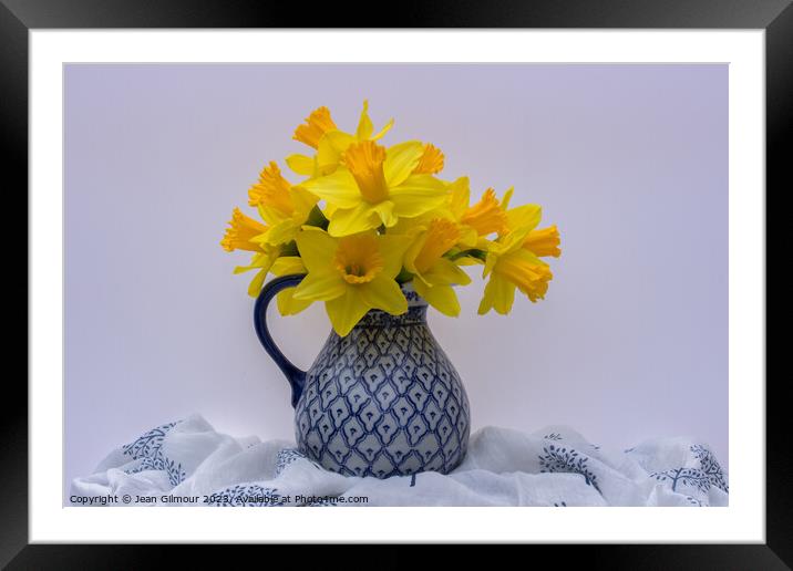 Jug of Daffodils  Framed Mounted Print by Jean Gilmour