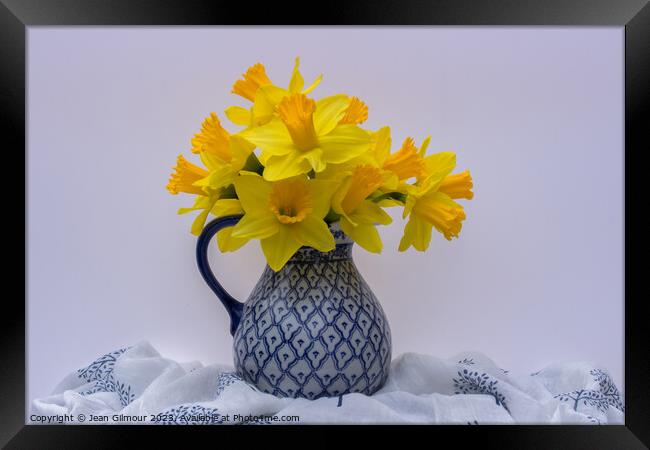Jug of Daffodils  Framed Print by Jean Gilmour