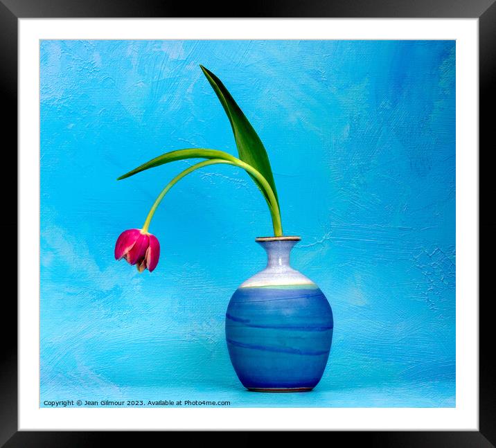 Bowing Tulip Framed Mounted Print by Jean Gilmour