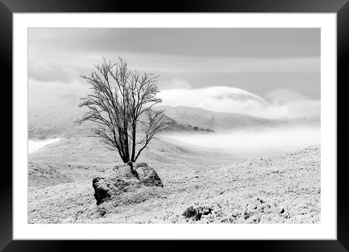 Tree in Rock in winter Framed Mounted Print by Peter Paterson