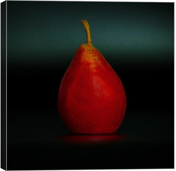 Portrait of a Pear Canvas Print by Jean Gilmour