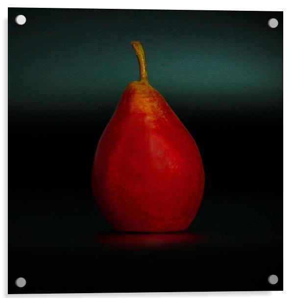 Portrait of a Pear Acrylic by Jean Gilmour