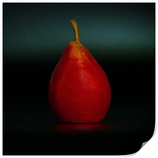 Portrait of a Pear Print by Jean Gilmour