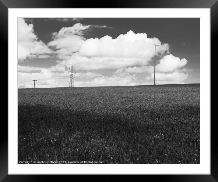 Wheat Field 2 Framed Mounted Print by Anthony Moore