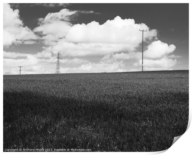 Wheat Field 2 Print by Anthony Moore