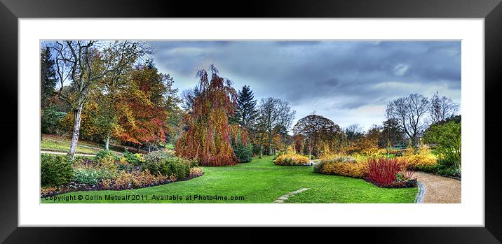 Harlow Carr Panorama Framed Mounted Print by Colin Metcalf