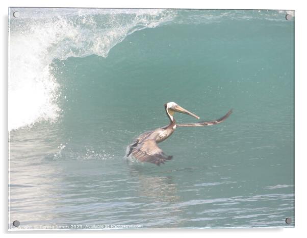 Pelican in waves  Acrylic by Teresa James