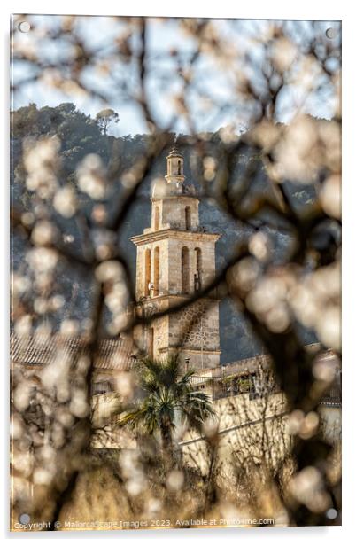 Almond blossom season in village Caimari, Mallorca Acrylic by MallorcaScape Images