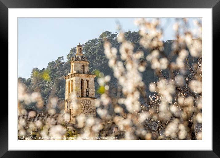 Almond blossom season in village Caimari, Mallorca Framed Mounted Print by MallorcaScape Images
