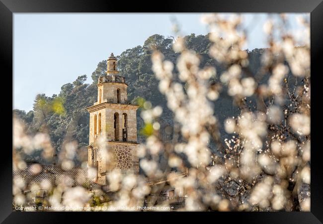Almond blossom season in village Caimari, Mallorca Framed Print by MallorcaScape Images