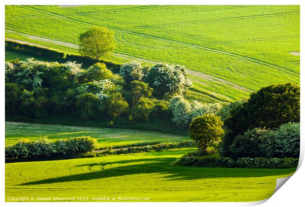 Spring Greens Print by Slawek Staszczuk