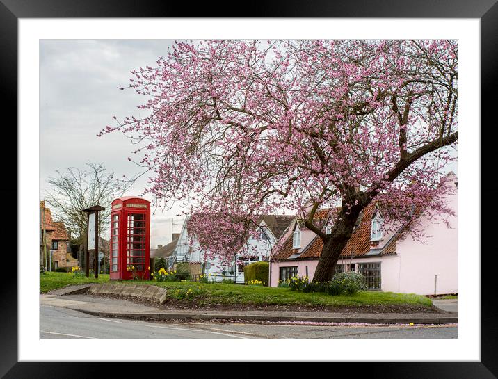 Phone box and the Cherry Tree Framed Mounted Print by Kelly Bailey