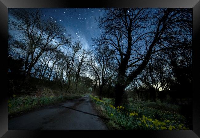 Moonlit daffodils and stars, Ingleton Framed Print by Pete Collins