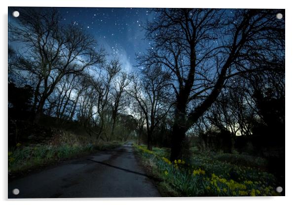 Moonlit daffodils and stars, Ingleton Acrylic by Pete Collins