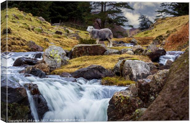Blea Tarn Waterfall Canvas Print by phil pace