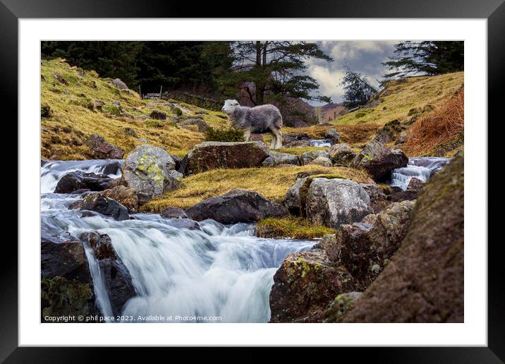 Blea Tarn Waterfall Framed Mounted Print by phil pace
