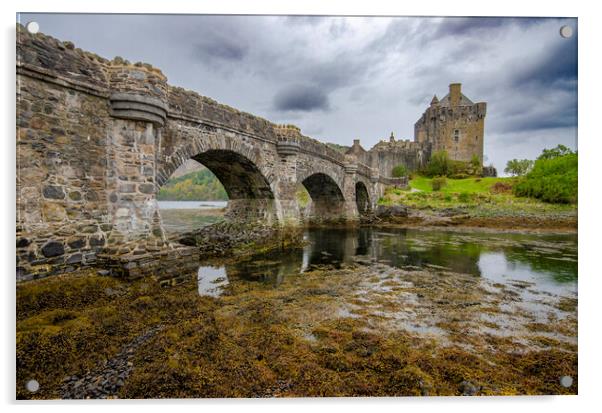 Eilean Donan Castle Acrylic by Steve Smith