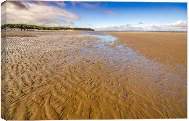 A Serene Haven on Findhorn Beach Canvas Print by Steve Smith