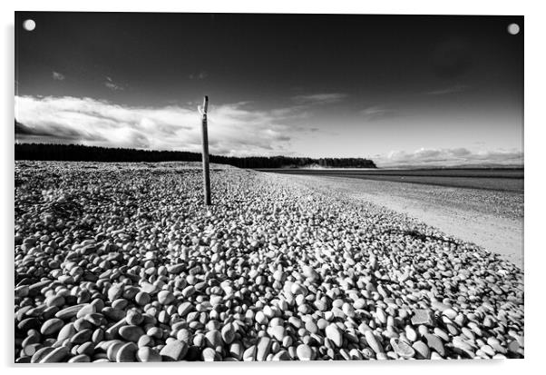 Findhorn Beach Acrylic by Steve Smith