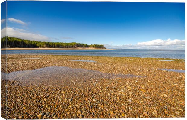 Serene Beauty of Findhorn Beach Canvas Print by Steve Smith