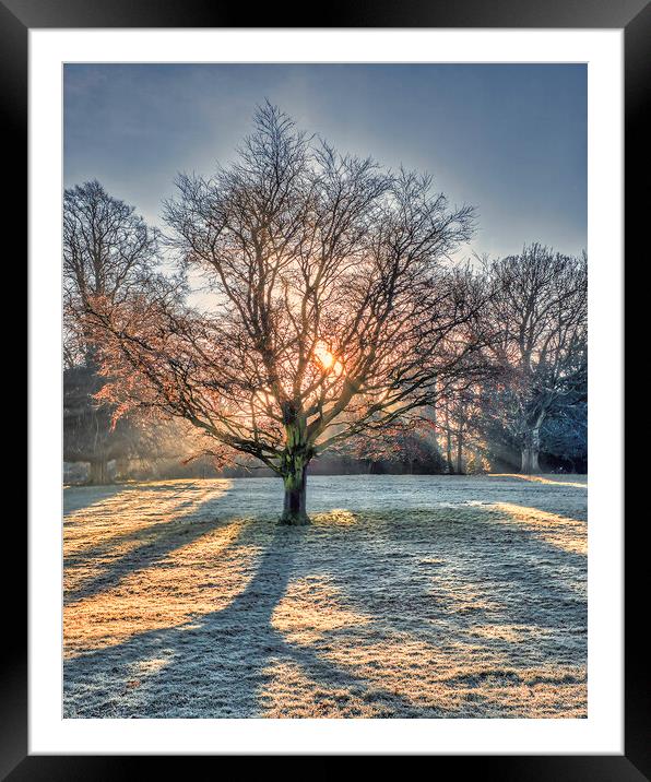 Winter Sun Rays at Wakefield Framed Mounted Print by Tim Hill