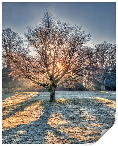 Winter Sun Rays at Wakefield Print by Tim Hill