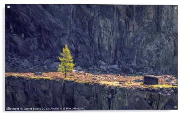 Tree in a Quarry Acrylic by Darrell Evans