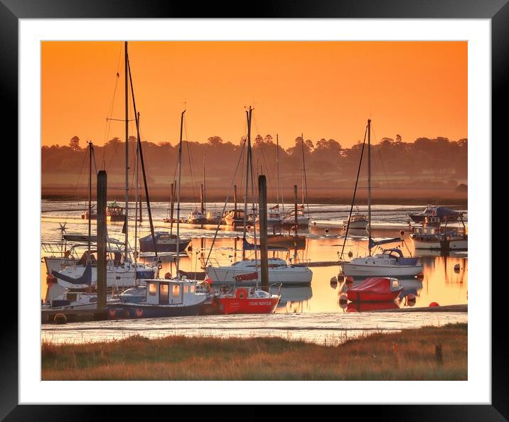 Sunrise calm over Brightlingsea Moorings  Framed Mounted Print by Tony lopez