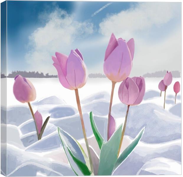 Tulips in the Snow  Canvas Print by Jacqui Farrell
