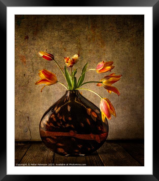 Tulips in Vase Framed Mounted Print by Peter Paterson